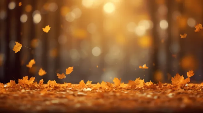 Обратимся к главному хиту осени. Третье сентября по версии Шуфутинского — это...