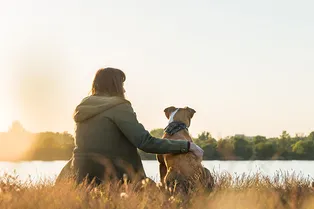 Спасенный пес пролетел 2000 км, чтобы стать другом одинокой 69-летней женщины