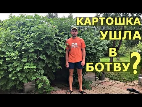 Нажми и смотри