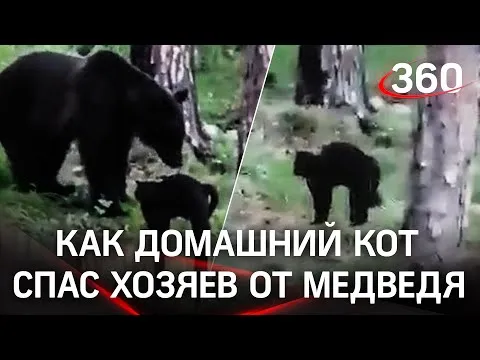 Нажми и смотри