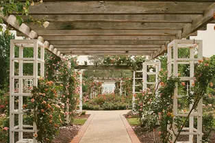 Что такое пергола для сада, как ее сделать и где установить