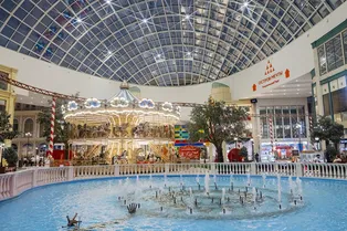 В парке аттракционов пройдет международная выставка