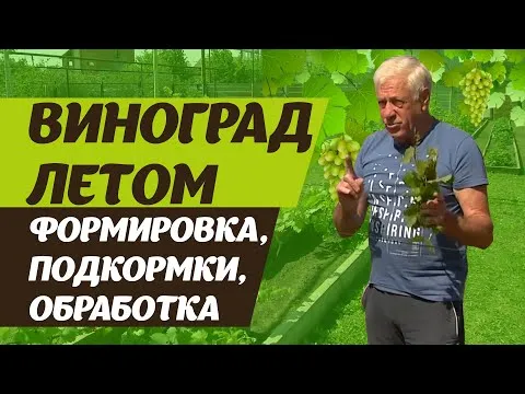 Нажми и смотри