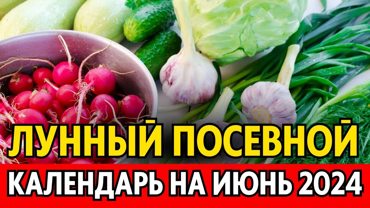 Нажми и смотри