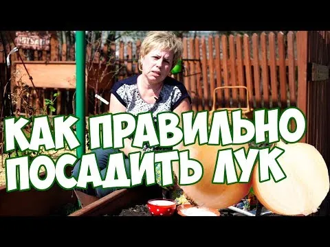Нажми и смотри