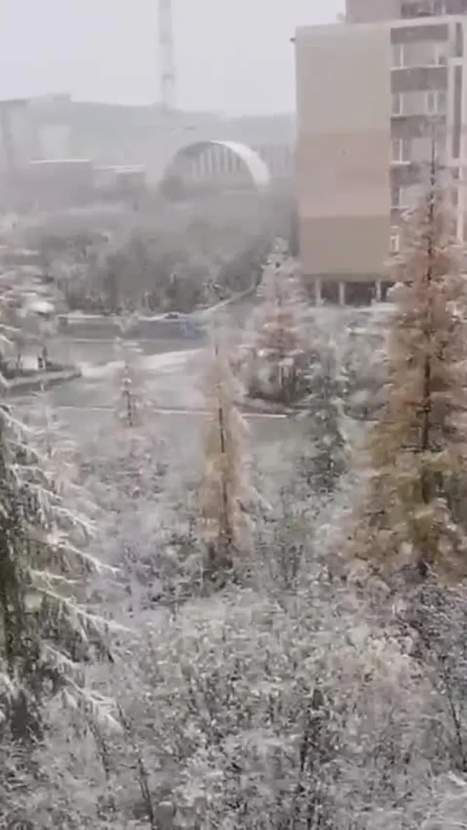 Нажми и смотри