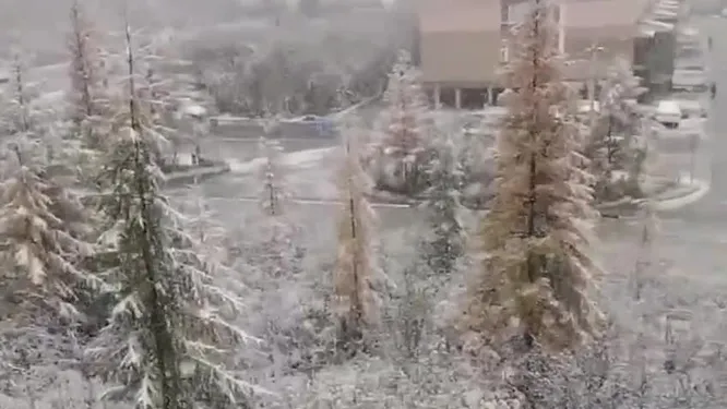 Нажми и смотри