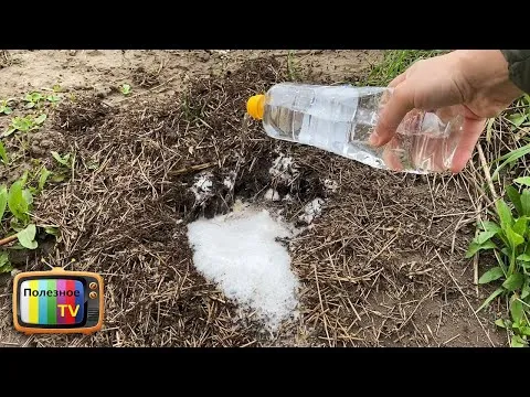 Нажми и смотри Нажми и смотри