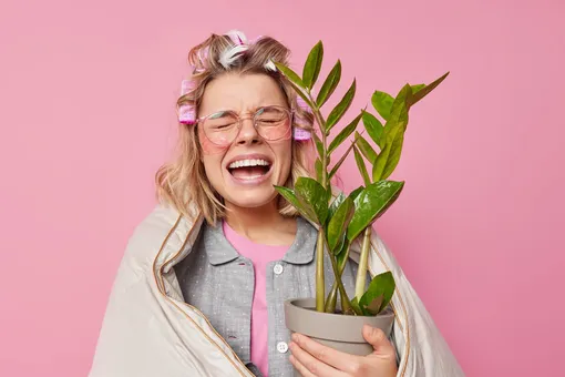 Садовый губитель или сама забота? Стоит ли вам заводить домашние растения — покажет простой тест Садовый губитель или сама забота? Стоит ли вам заводить домашние растения — покажет простой тест