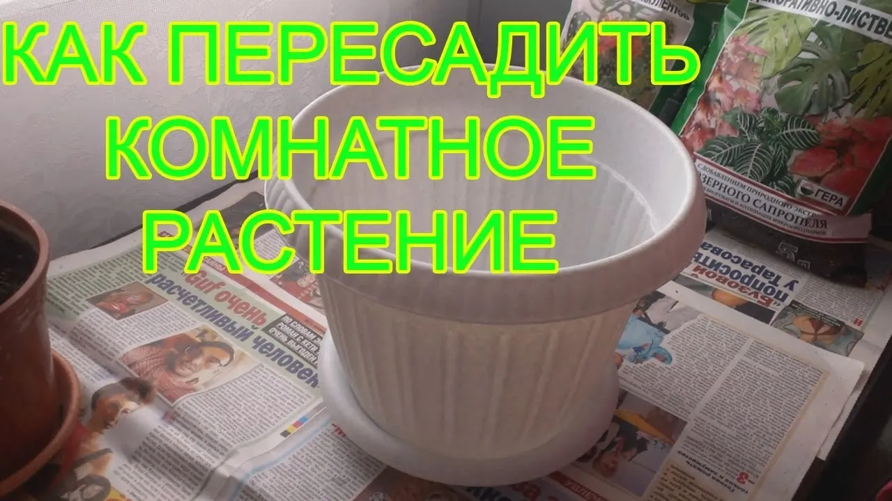 Нажми и смотри