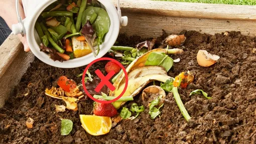 Что нельзя класть в компост