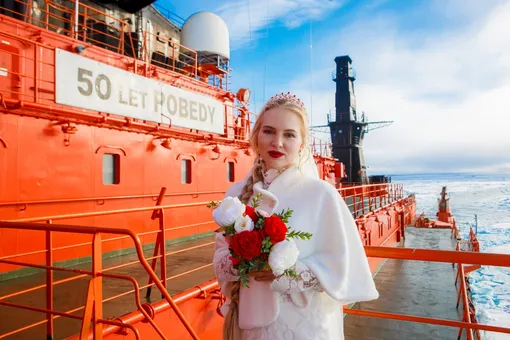 Северный полюс