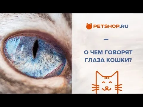 Нажми и смотри