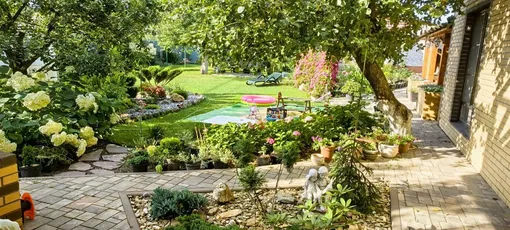 На своем участке На своем участке