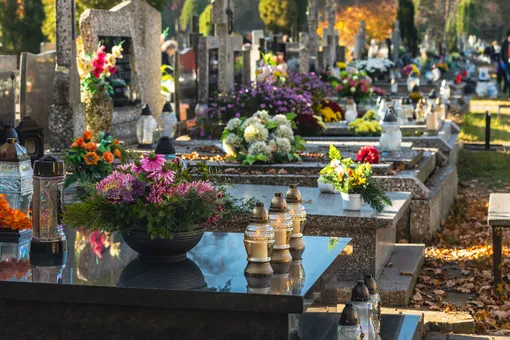 Зелень памяти: как выбрать красивые и долговечные растения для кладбища Зелень памяти: как выбрать красивые и долговечные растения для кладбища