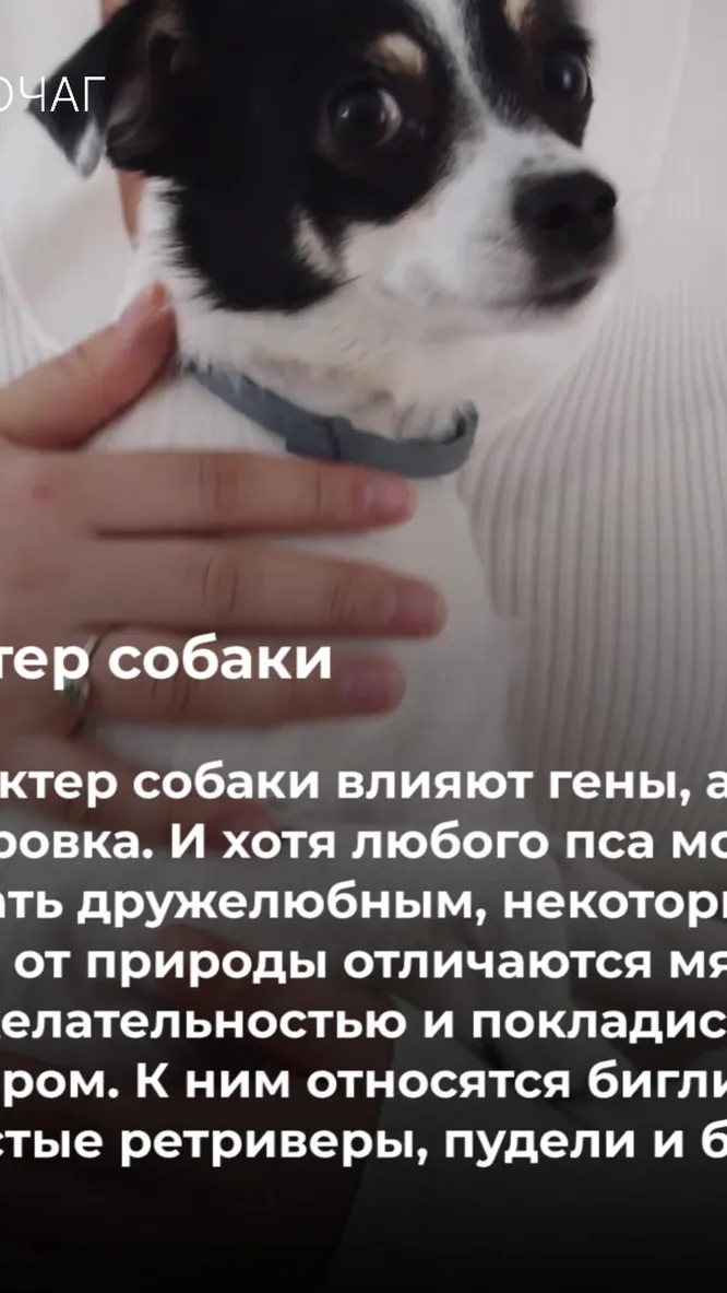 Нажми и смотри