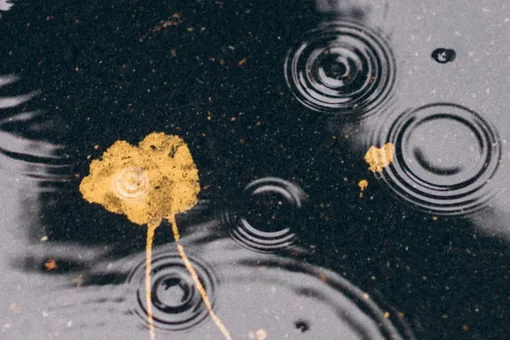 Дело к осени: ждать ли тепла в Центральной России, рассказали синоптики Дело к осени: ждать ли тепла в Центральной России, рассказали синоптики