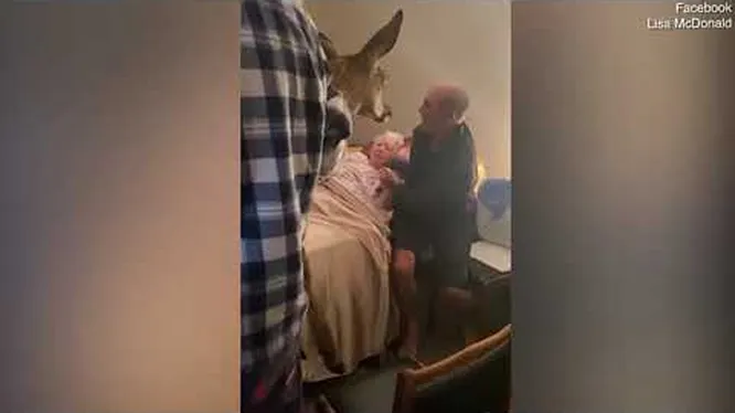 Нажми и смотри Нажми и смотри