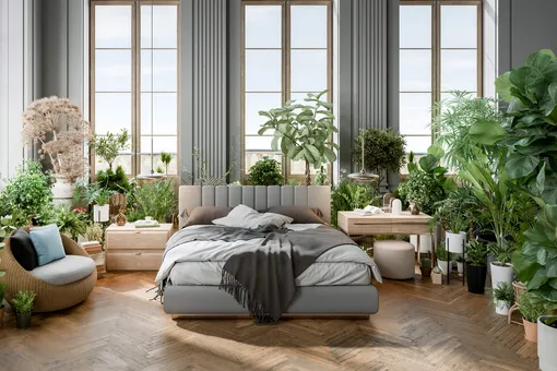 Почему нельзя держать много растений в спальне Почему нельзя держать много растений в спальне