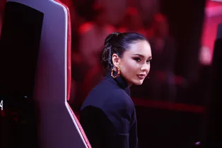 На «Голос. Дети» появился юный талант с Сицилии: Аида Гарифуллина в восторге от 11-летнего певца На «Голос. Дети» появился юный талант с Сицилии: Аида Гарифуллина в восторге от 11-летнего певца