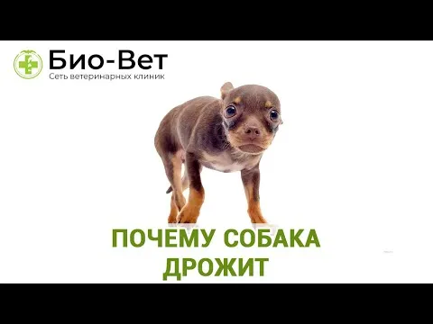 Нажми и смотри
