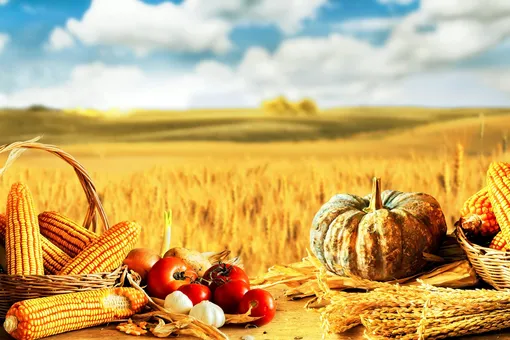 Лунный посевной календарь садовода и огородника на неделю с 28 августа по 3 сентября 2023 года Лунный посевной календарь садовода и огородника на неделю с 28 августа по 3 сентября 2023 года