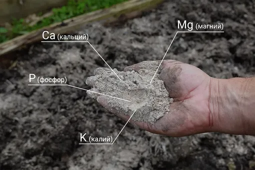 Древесная зола: калий и защита