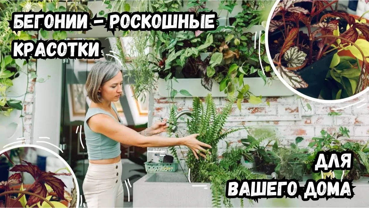 Нажми и смотри
