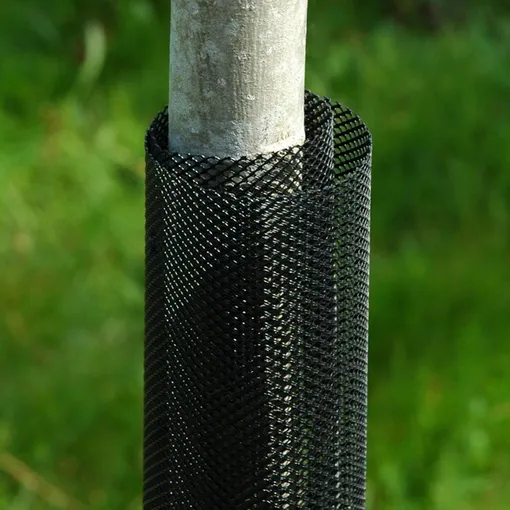 Как защитить молодую яблоню от зайцев и грызунов зимой Как защитить молодую яблоню от зайцев и грызунов зимой