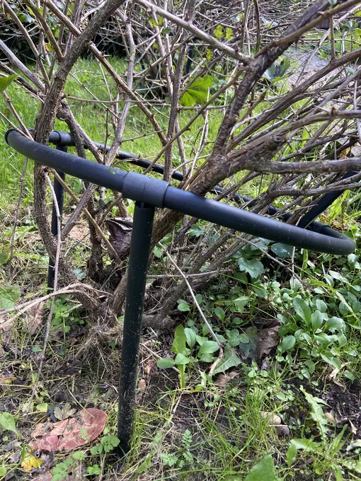 кустодержатель