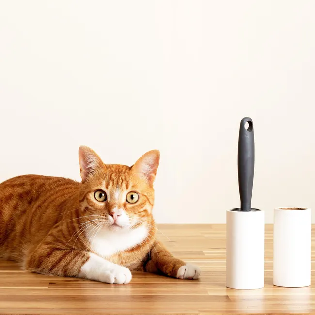 Ёлочные иголки, крошки, конфетти: 5 новогодних проблем, которые решит липкий ролик для одежды