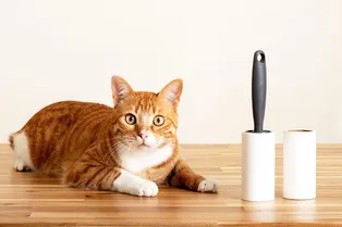 Ёлочные иголки, крошки, конфетти: 5 новогодних проблем, которые решит липкий ролик для одежды Ёлочные иголки, крошки, конфетти: 5 новогодних проблем, которые решит липкий ролик для одежды