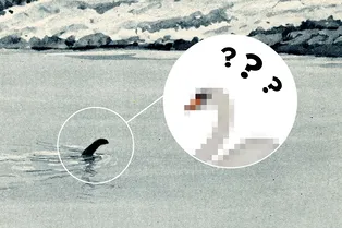 Тайна раскрыта? Учёный, который 50 лет изучал феномен Лох-Несского чудовища, сделал заявление