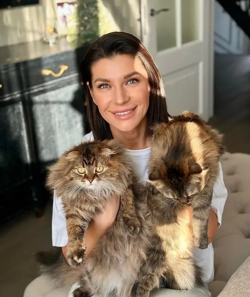 звезды которые любят кошек