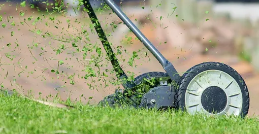 осенняя стрижка газона