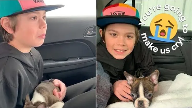 Нажми и смотри Нажми и смотри