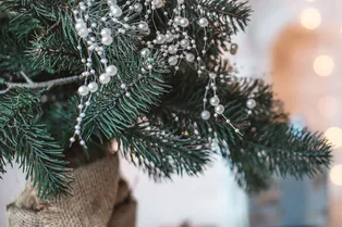 Как украсить ёлку, чтобы выглядела дорого: 6 идей декора с жемчугом