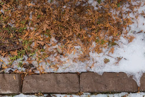 лунный посевной календарь на февраль 2026