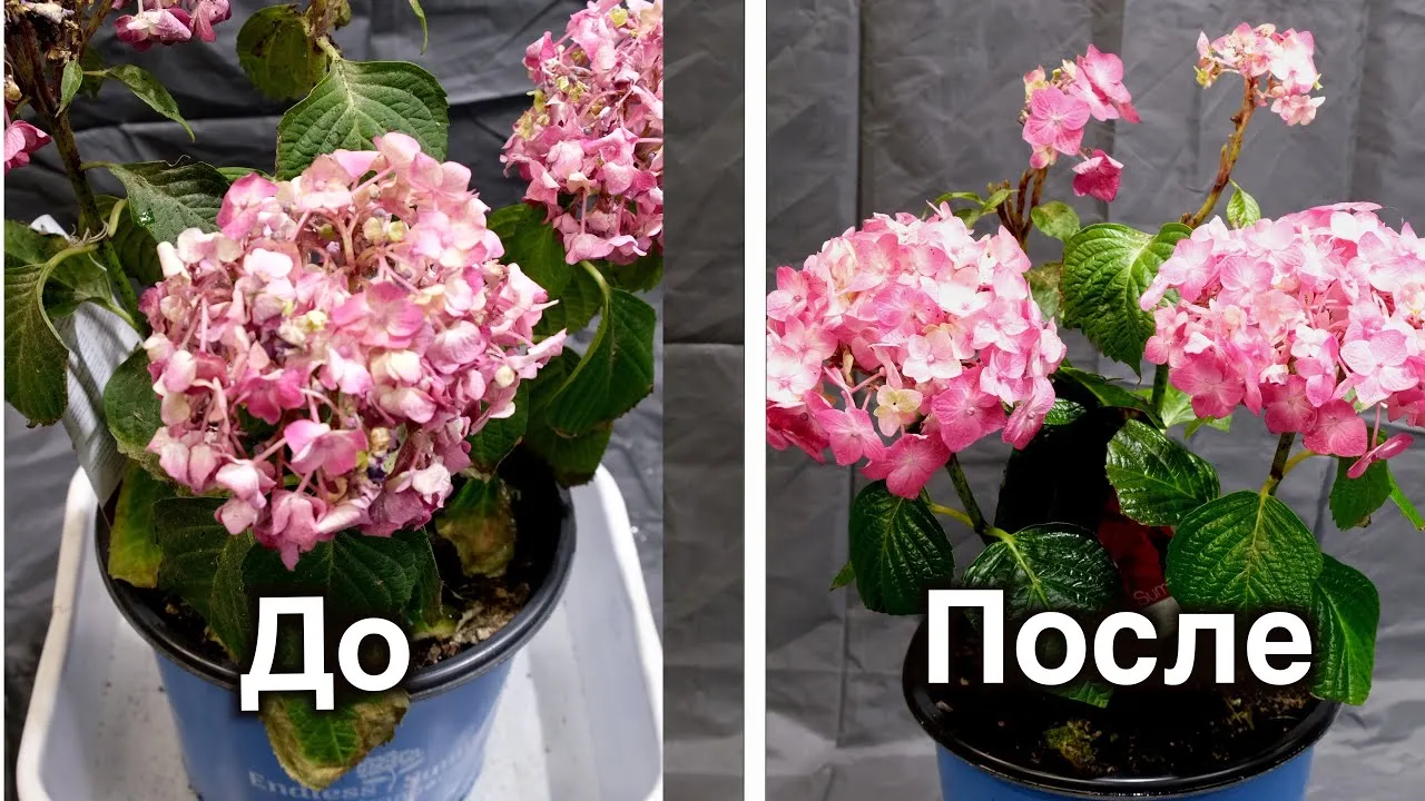 Нажми и смотри Нажми и смотри