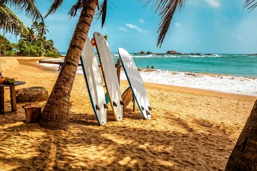 Такой новый год: где и как встретить праздник по-новому Такой новый год: где и как встретить праздник по-новому