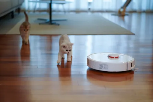 Восстание машин: робот-пылесос запер хозяйку в ванной