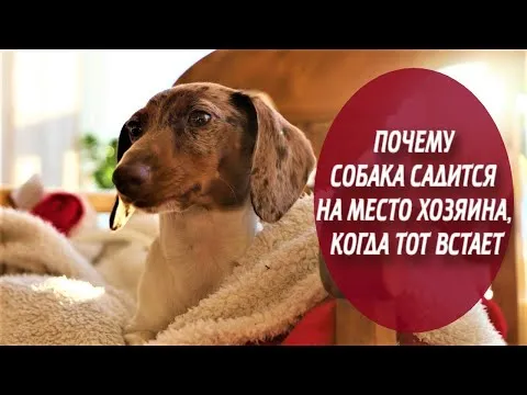 Нажми и смотри