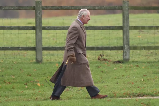 Карл III старается вести активный образ жизни Карл III старается вести активный образ жизни