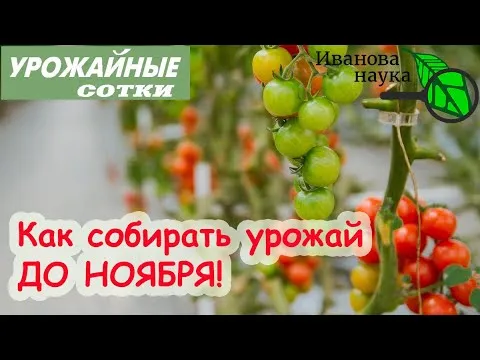 Нажми и смотри