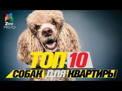 Нажми и смотри