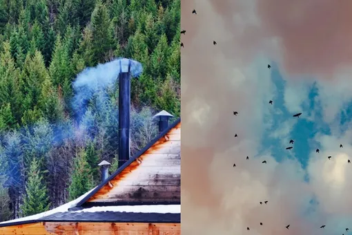 Дым из трубы и «гусиные пёрышки» на небе: можно ли верить погодным приметам, рассказал Евгений Тишковец Дым из трубы и «гусиные пёрышки» на небе: можно ли верить погодным приметам, рассказал Евгений Тишковец