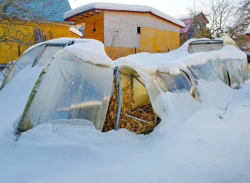 Что сделать, чтобы теплица пережила зиму без повреждений Что сделать, чтобы теплица пережила зиму без повреждений