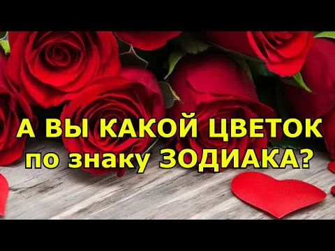 Нажми и смотри