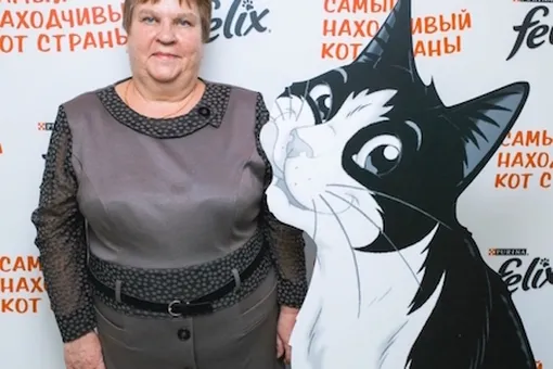 Назван самый находчивый кот страны Назван самый находчивый кот страны