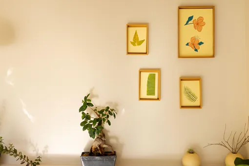 5 предметов интерьера, которые безвозвратно устарели в 2025 году 5 предметов интерьера, которые безвозвратно устарели в 2025 году